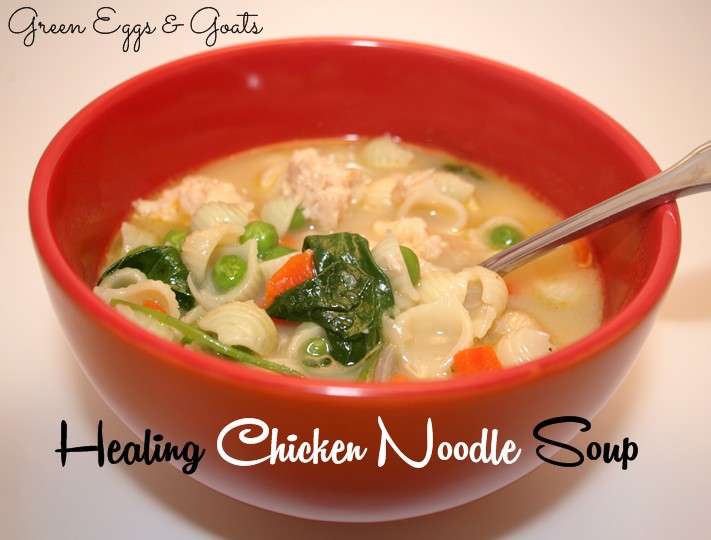 Healing Chicken Noodle Soup Recipe 5275