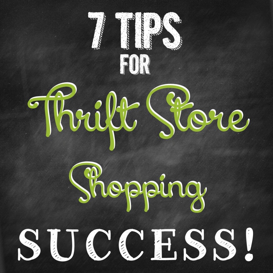 tips-for-thrift-store-shopping-success-green-eggs-goats