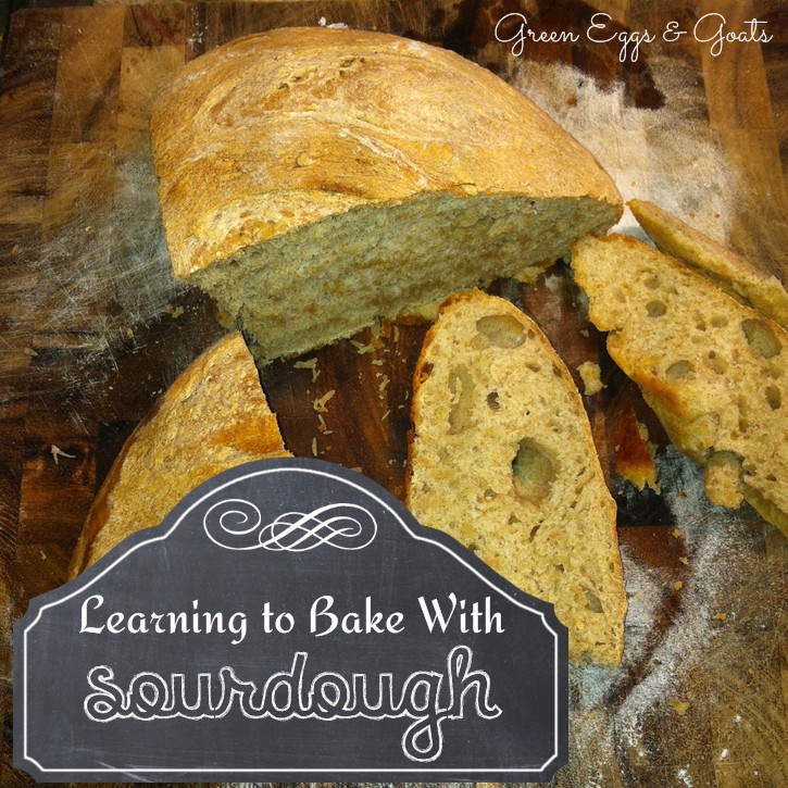 Learning To Bake With Sourdough