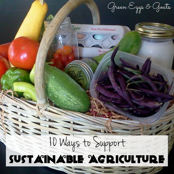 How to Support Sustainable Agriculture