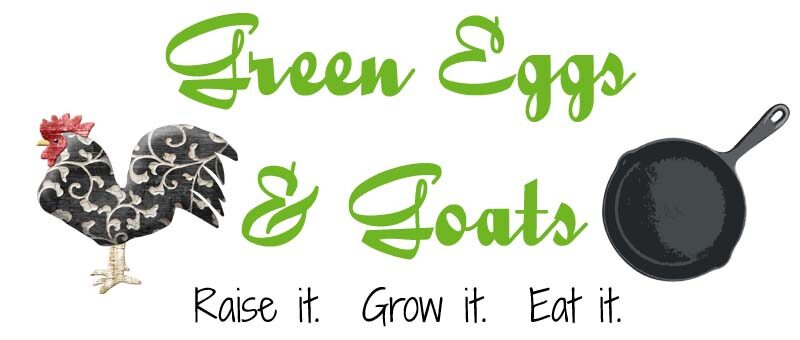 Green Eggs & Goats
